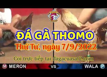 da ga thang- dagacuasat (7)