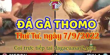 da ga thang- dagacuasat (7)