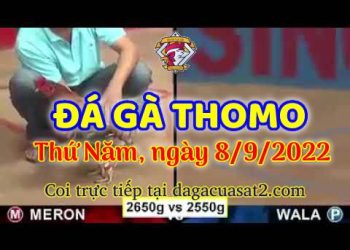 da ga thang- dagacuasat (8)