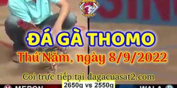 da ga thang- dagacuasat (8)