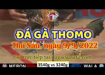 da ga thang- dagacuasat (9)