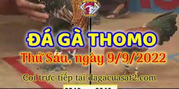 da ga thang- dagacuasat (9)