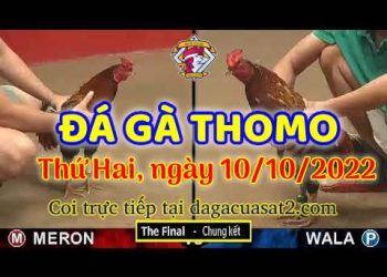 cuasat thang10-2022 (10)