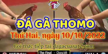 cuasat thang10-2022 (10)