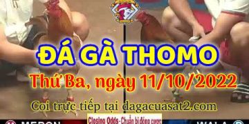 cuasat thang10-2022 (11)