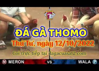 cuasat thang10-2022 (12)