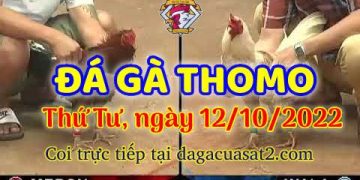 cuasat thang10-2022 (12)