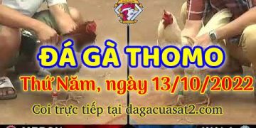 cuasat thang10-2022 (13)