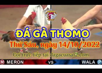 cuasat thang10-2022 (14)