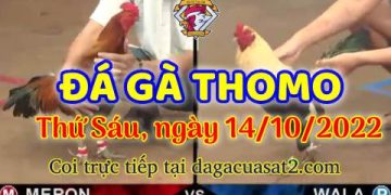 cuasat thang10-2022 (14)