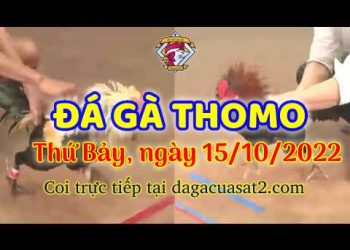 cuasat thang10-2022 (15)