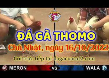 cuasat thang10-2022 (16)