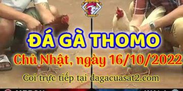 cuasat thang10-2022 (16)