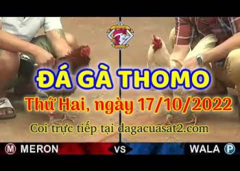 cuasat thang10-2022 (17)