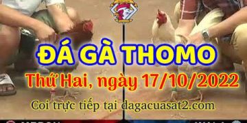 cuasat thang10-2022 (17)