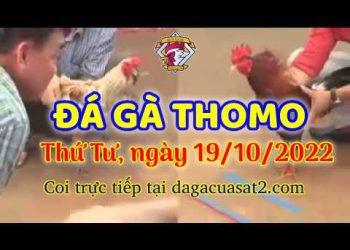 cuasat thang10-2022 (19)