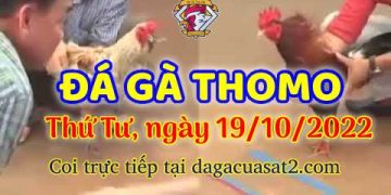 cuasat thang10-2022 (19)