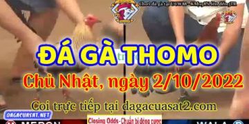 cuasat thang10-2022 (2)