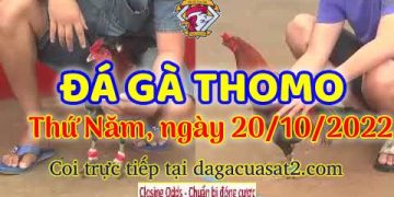 cuasat thang10-2022 (20)