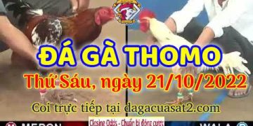 cuasat thang10-2022 (21)