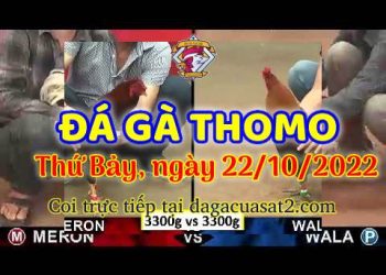 cuasat thang10-2022 (22)