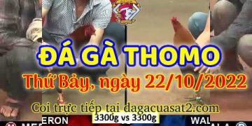 cuasat thang10-2022 (22)