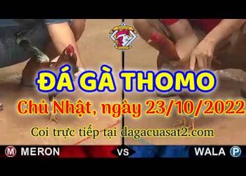 cuasat thang10-2022 (23)