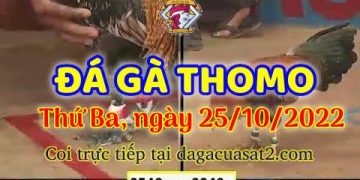 cuasat thang10-2022 (25)