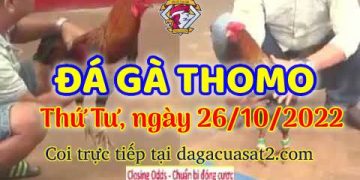 cuasat thang10-2022 (26)