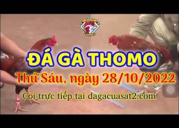 cuasat thang10-2022 (28)