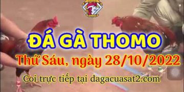 cuasat thang10-2022 (28)