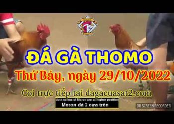 cuasat thang10-2022 (29)