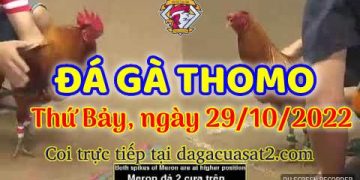 cuasat thang10-2022 (29)