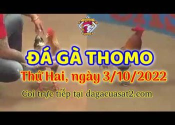 cuasat thang10-2022 (3)