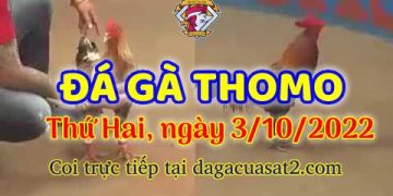 cuasat thang10-2022 (3)