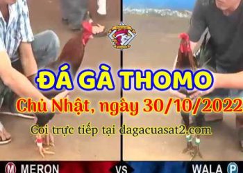 cuasat thang10-2022 (30)