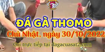 cuasat thang10-2022 (30)