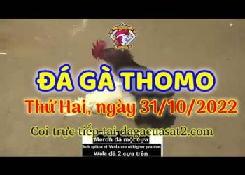 cuasat thang10-2022 (31)