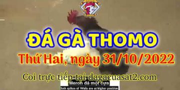 cuasat thang10-2022 (31)