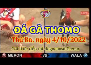 cuasat thang10-2022 (4)