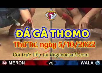 cuasat thang10-2022 (5)