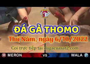 cuasat thang10-2022 (6)