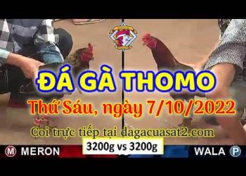 cuasat thang10-2022 (7)