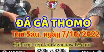 cuasat thang10-2022 (7)