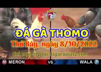 cuasat thang10-2022 (8)