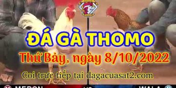 cuasat thang10-2022 (8)