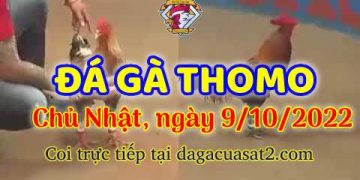 cuasat thang10-2022 (9)