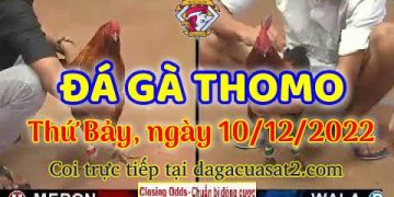 cuasat thang12-2022 (10)