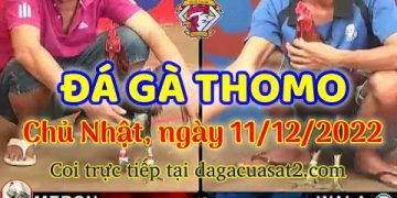 cuasat thang12-2022 (11)