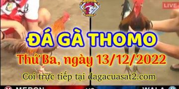 cuasat thang12-2022 (13)